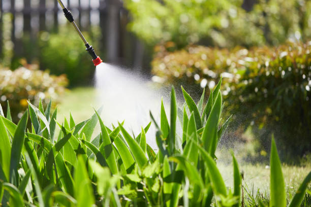 24/7 Emergency Mosquito Control experts in Glen Allen, VA